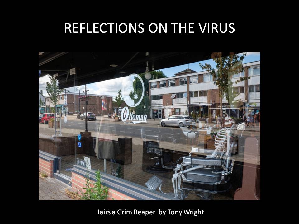 Reflections-on-the-Virus-Slide1
