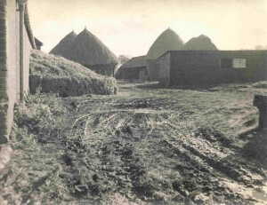 The farm before it was developed (PHO571)