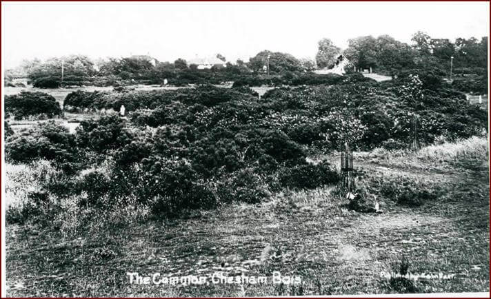 Chesham Bois Common 1833 Note: trees only shielding The Rectory. 