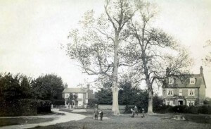 Bois Lane 1905 Leazefield House and Heathfield
