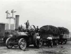 The picture, from the early twentieth century, shows Black Jack with wagons loaded with horse manure