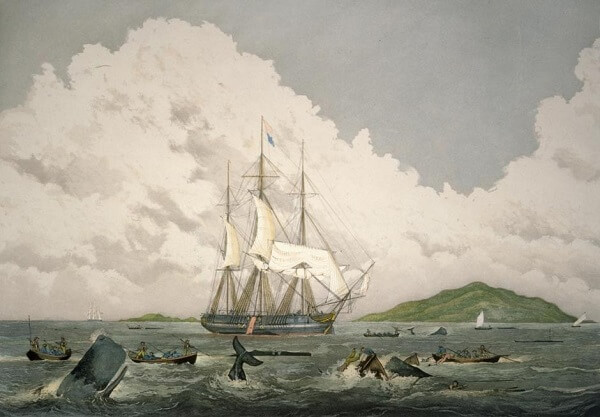 Fig. 13 Whaling (National Library of New Zealand)