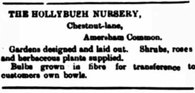 1913 Advertisement for Hollybush Nursery