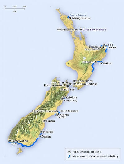 New Zealand whaling stations showing Otago