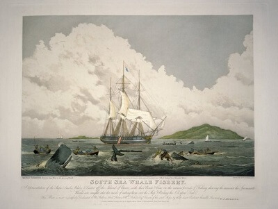Huggins, William John 1781-1845 - South Sea whale fishery / painted by W.J.Huggins