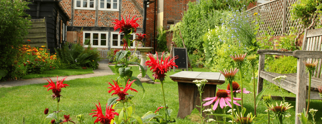 Photo of garden July 2023