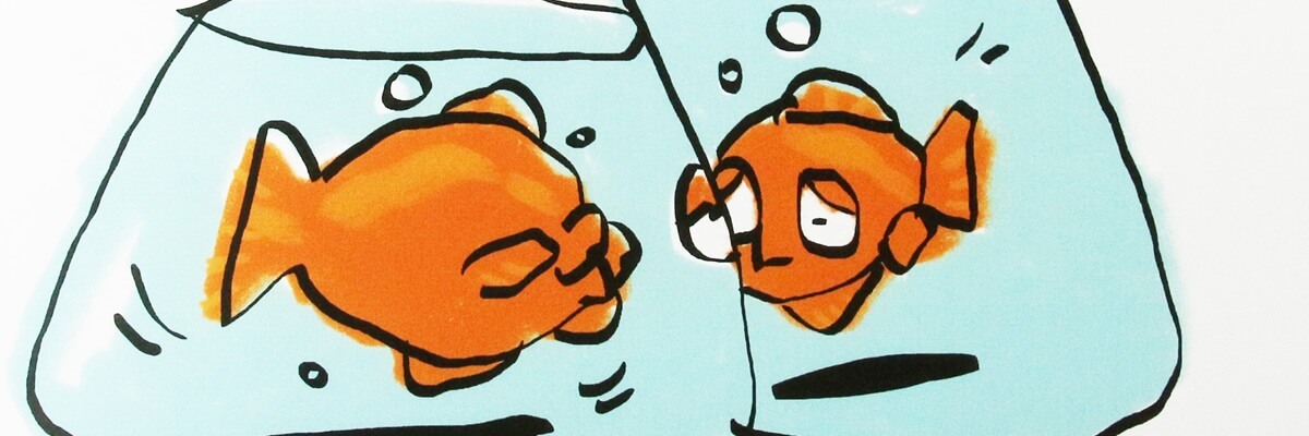 DoFishCry banner