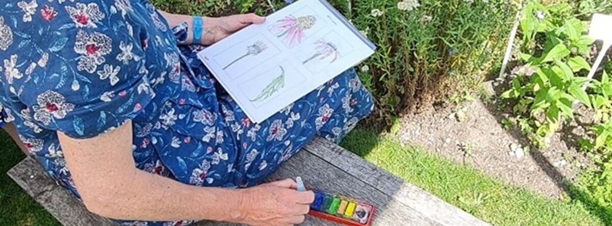 Nature Sketch