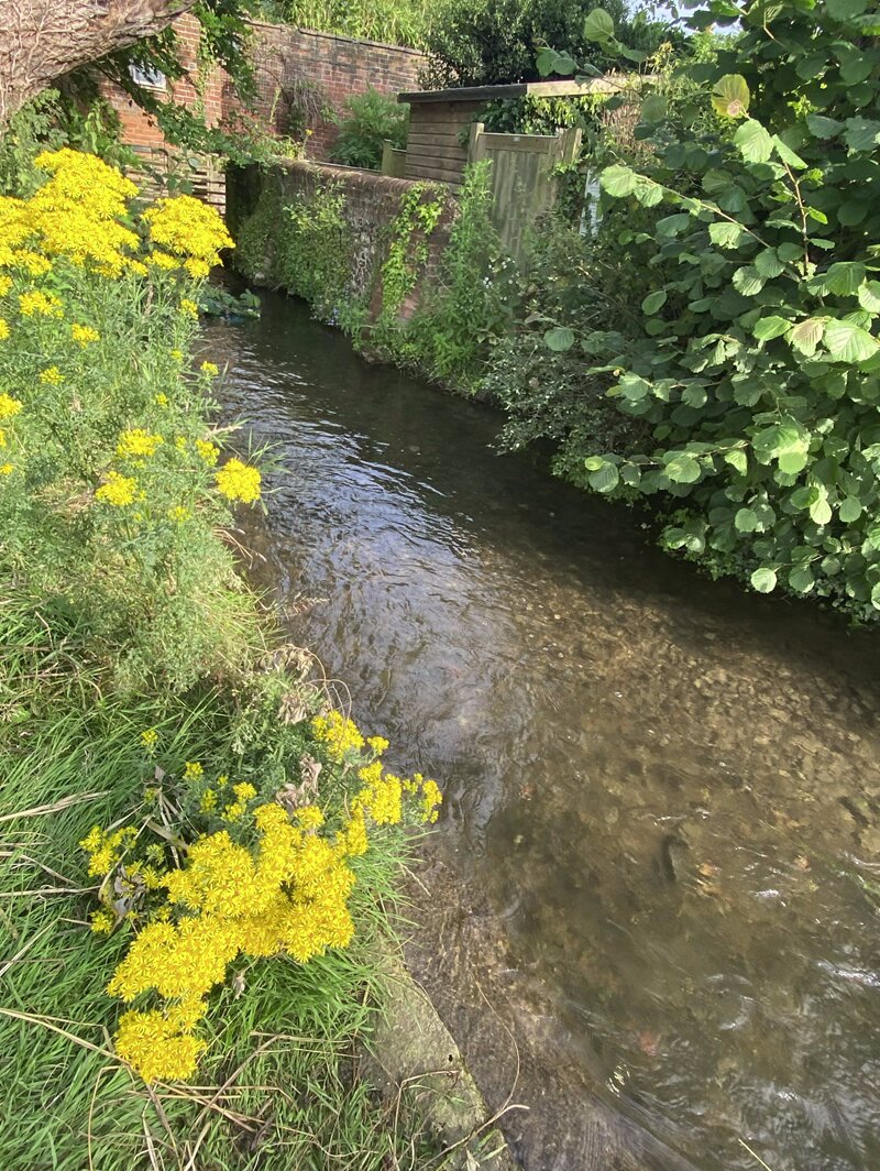 April - Amersham Amble