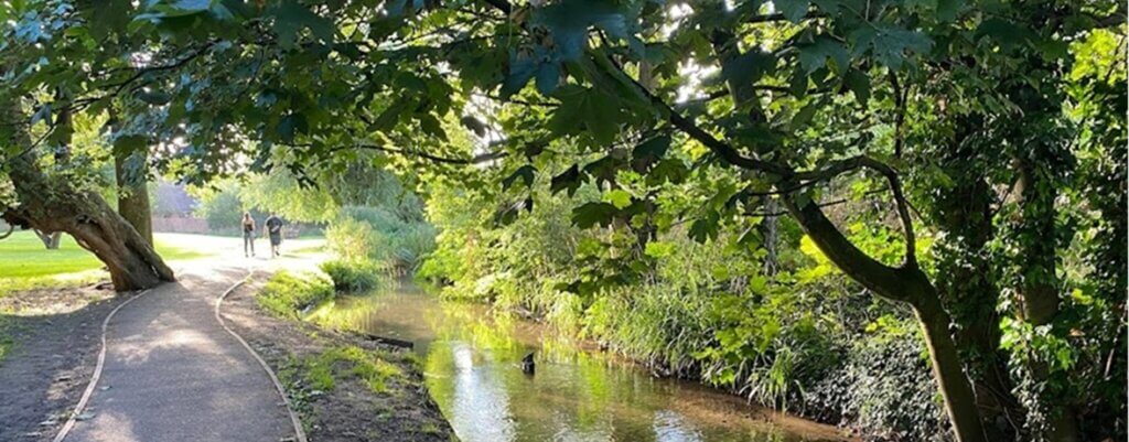 Plants and People walks banner