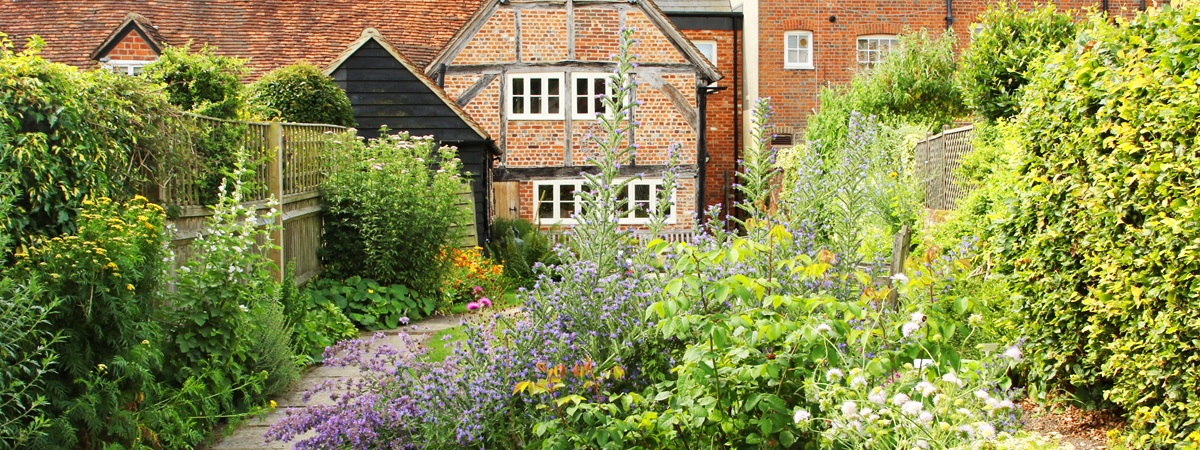 Garden in Summer