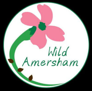 A circular logo with a pink flower, green stem, and brown seeds embraces a subtle ske design. The words Wild Amersham are written in green on a white background.