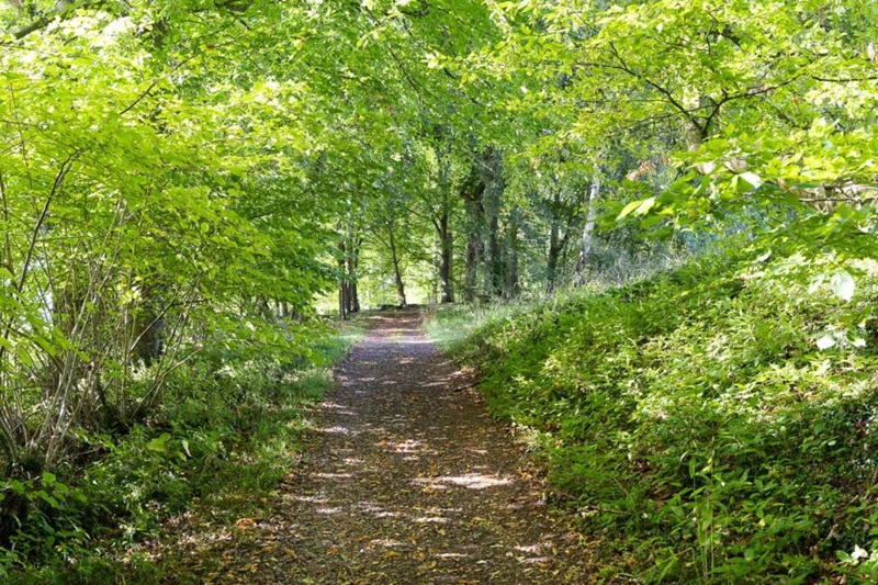 A woodland walk in the grounds of Chiltern Crematorium
