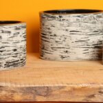 The Bobbin Vessels image. Credited to Beyond the Brambles.